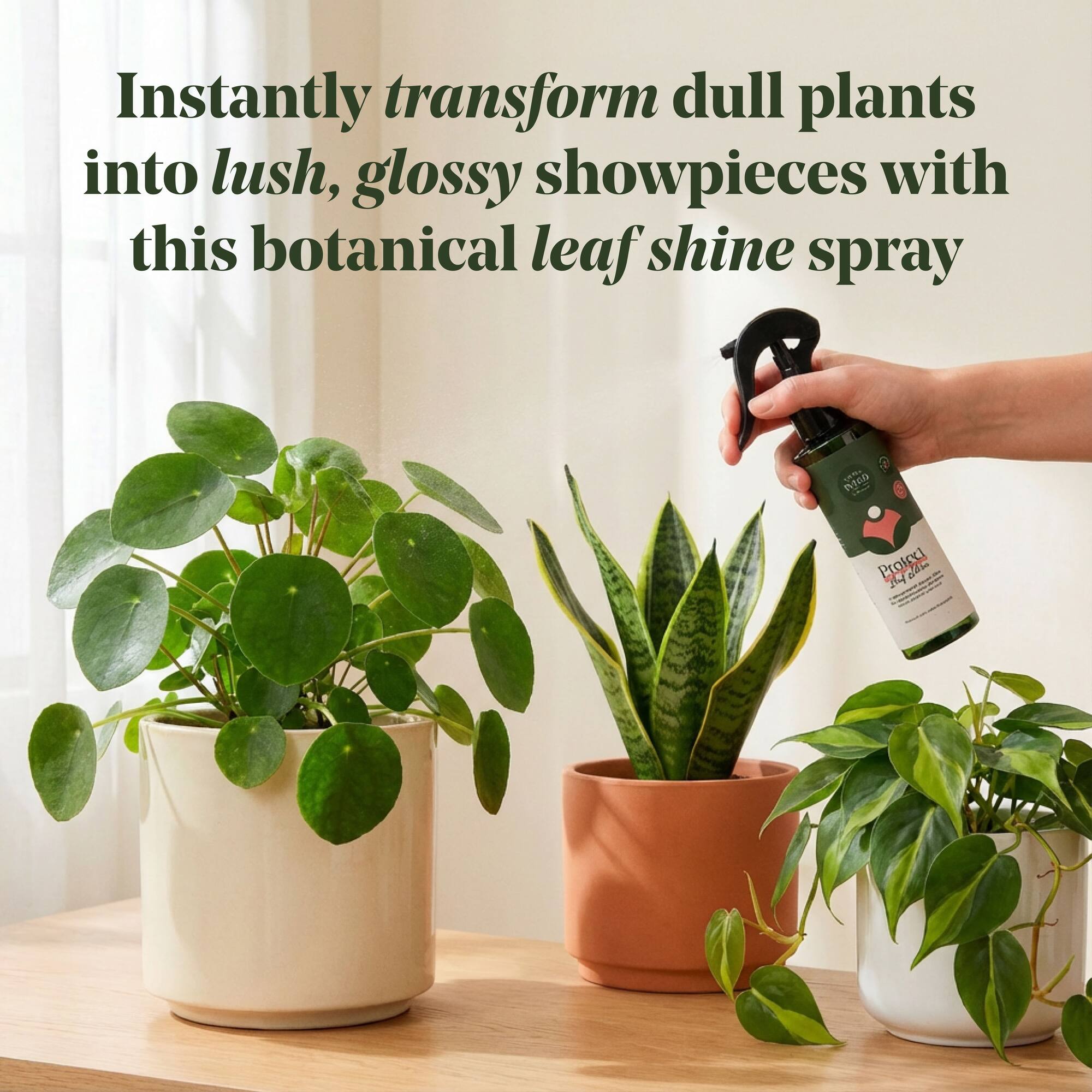 We The Wild™ 8.5oz. Protect Spray Organic Botanical Leaf Shine & Care for Houseplants